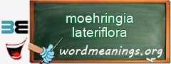 WordMeaning blackboard for moehringia lateriflora